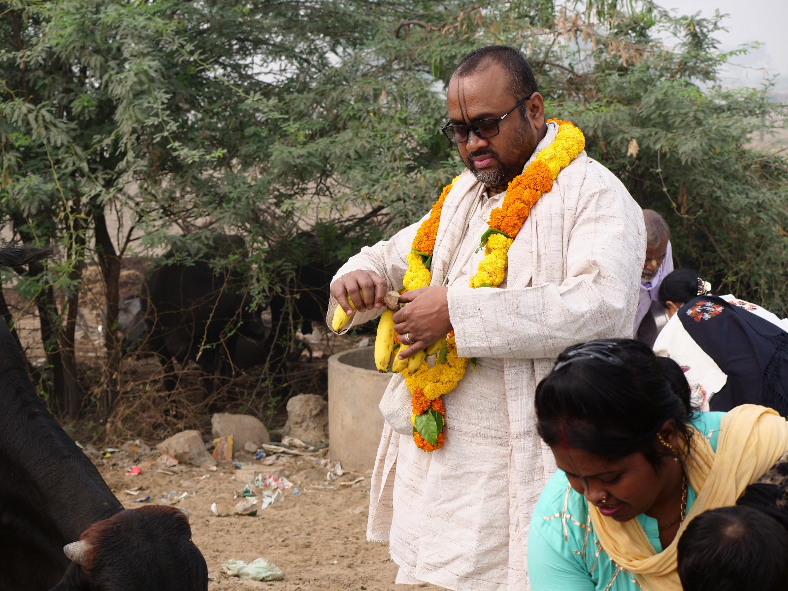  151 Gopashtami Radha kunda Govardhan 19.11.04